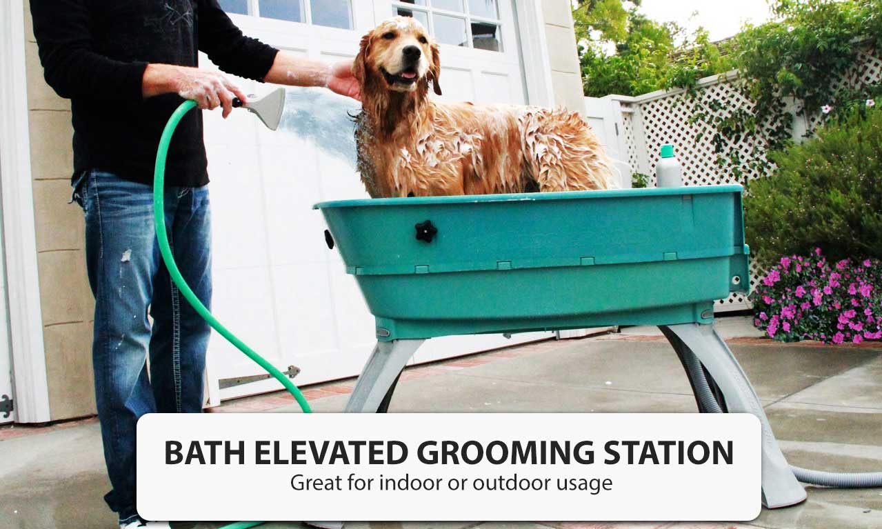 Medium Size Pet Dog Elevated Bathing Station Portable Bath Tub Grooming